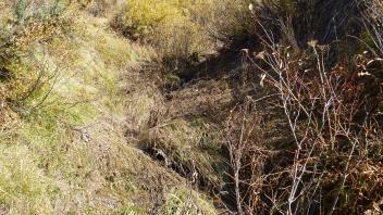 Transect 1 Channel (upstream)