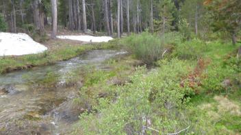 Transect 1 Channel (upstream)