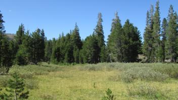 Transect 1 Channel Crossing (left to right)