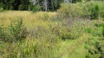 Transect 1 Channel Crossing (left to right)