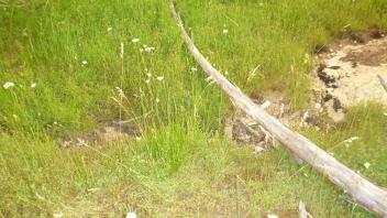 Transect 1 Channel