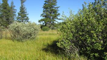 Transect 1 Crossing (left to right)