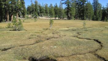 Transect 1 Crossing (right to left)