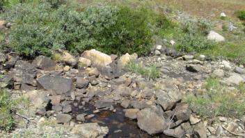 Transect 1 Crossing (right to left)