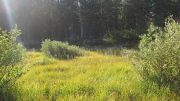 Transect 1 Crossing (right to left)