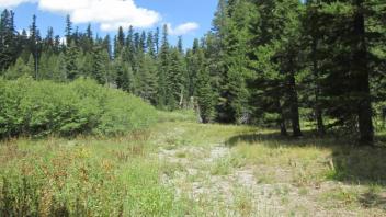 Transect 1 Left