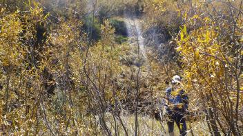 Transect 1 Overview (left to right)