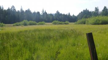 Transect 1 Overview (left to right)