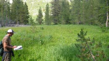 Transect 1 Overview (left to right)