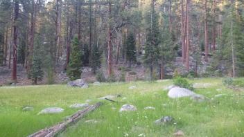Transect 1 Overview (left to right)