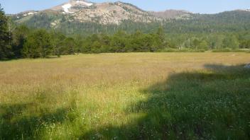 Transect 1 Overview (right to left)