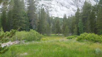 Transect 1 Overview (right to left)
