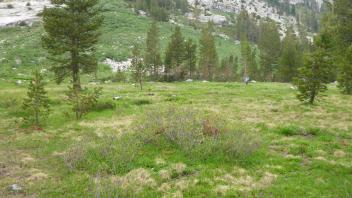 Transect 1 Overview (right to left)
