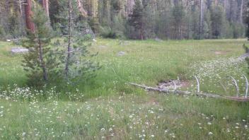 Transect 1 Overview (right to left)