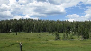 Transect 1 Upper (left to right)