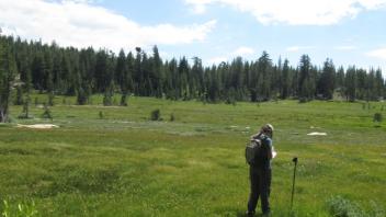 Transect 1 Upper (right to left)