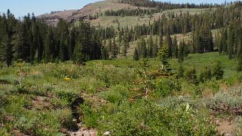 Transect 1, channel 2 downstream