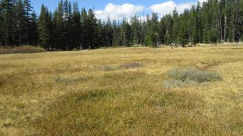 Transect 1, channel 2 left to right