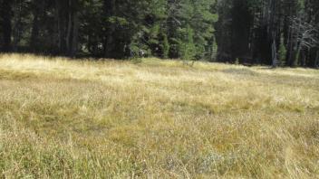 Transect 1, channel 2 right to left