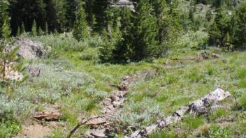 Transect 1, channel 2 upstream