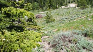 Transect 1, channel 3 left to right
