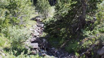 Transect 1, channel 3 upstream