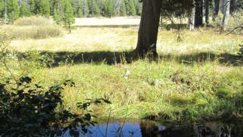 Transect 1, left to right and channel crossing