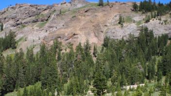 Transect 1, left