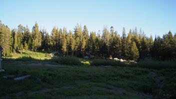 Transect 1, right to left