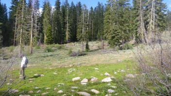 Transect 2 (left to right)