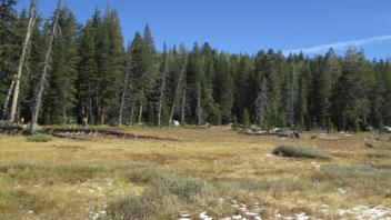Transect 2 (left to right)