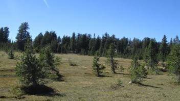 Transect 2 (left to right)