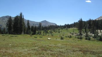 Transect 2 (left to right)