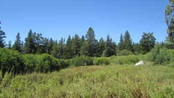 Transect 2 (left to right)