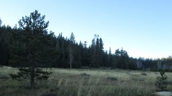 Transect 2 (left to right)