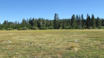 Transect 2 (left to right)