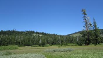 Transect 2 (left to right)