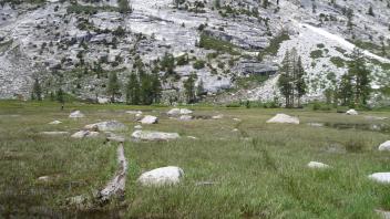 Transect 2 (right to left)