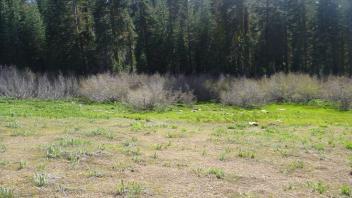 Transect 2 (right to left)
