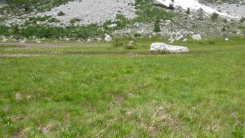 Transect 2 (right to left)