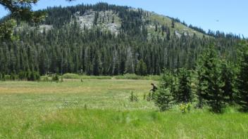 Transect 2 (right to left)
