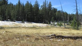 Transect 2 (right to left)