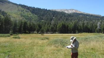 Transect 2 (right to left)
