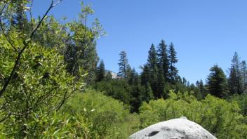 Transect 2 (right to left)