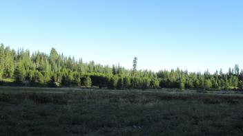 Transect 2 (right to left)
