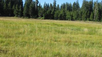 Transect 2 (right to left)