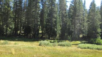 Transect 2 (right to left)