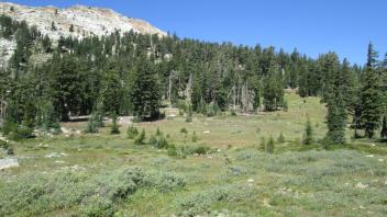 Transect 2 (right)