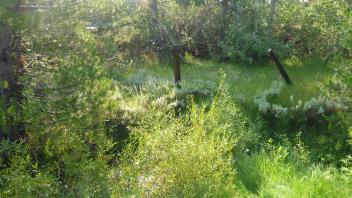Transect 2 Channel (left to right across)