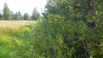 Transect 2 Channel (left to right downstream)